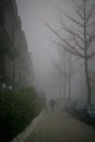 Naked trees on the street and silhouette of the man on the foggy and misty day, concept of dark and gloomy mood
