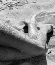 Naked woman covered by sand resting on a sandy beach Royalty Free Stock Photo