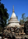 Nakhon Pathom, Thailand: Chedi at Thai Temple