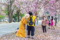 NAKHON PATHOM -THAILAND, MARCH 15 ,2023 : Unidentified Tourists come to visit and take photo with beautiful pink trumpet tree