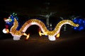 Nakhon sawan festival,lamp,hanging lamp,king lght ,Chinese New Year, Chinese New Year activities, dragon,dragon dance , The Chines