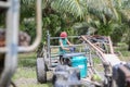 Nakhon Si Thammarat, Thailand. Nov 1, 2020. A tractor mechanical operates by a worker to pick up palm oil fruits near palm