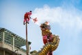 Nakhonsawan Thailand-Feb 4, 2022; Performance of dragon dance on pole. Dragon mule crystal ball.