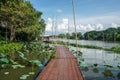 Nakornpathom / Thailand - September 5 2020: wooden walkway at floating raft along the river at Tree & Tide cafe