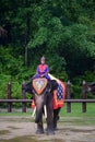 NAKORNPRATHOM THAILAND : October 6, 2022 : photo of elephant show at Samphran elephant ground & zoo, showing how the dynasty use Royalty Free Stock Photo