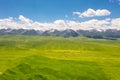 Nalati grassland with the blue sky Royalty Free Stock Photo