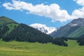 Nalati grassland with the blue sky Royalty Free Stock Photo