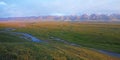 Nalati grassland with snow mountains Royalty Free Stock Photo