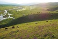 Nalati grassland in summer