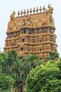 The Gopuram tower - Nallur Kandaswamy temple Kovil - Jaffna Sri Lanka Royalty Free Stock Photo