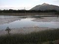 Nam Sang Wai Wetland Royalty Free Stock Photo