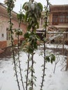 NAMANGAN snowing in March Royalty Free Stock Photo
