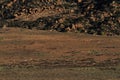 Namaqualand South Africa landscape Royalty Free Stock Photo