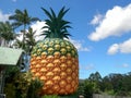 NAMBOUR, AUSTRALIA - NOVEMBER 23, 2017: wide angle shot of the big pineapple in queensland