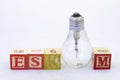 The term Eskom and a broken bulb Royalty Free Stock Photo