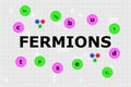 Name of major group in Standard Model called fermions in the center