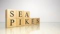 The name Sea pikes was created from wooden letter cubes. Seafood and food. Royalty Free Stock Photo