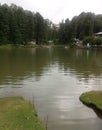 Beautiful view of the dal lake surrounded by tall cedar trees at Mcleodganj in Dharamshala Royalty Free Stock Photo