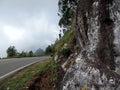 Lock Heart Gap in Munnar, Kerala, India Royalty Free Stock Photo