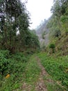 Lock Heart Gap in Munnar, Kerala, India Royalty Free Stock Photo