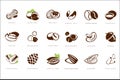 Named nuts set, peanut, haselnut, walnut, brazil nut, coffee bean, coconut, pecun, chickpeas, chestnut, macadamia Royalty Free Stock Photo