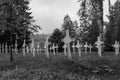 Nameless graves with rows of white wooden cross Royalty Free Stock Photo