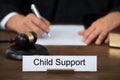 Nameplate Displaying Child Support In Court