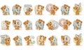 Names for boys Anthony, Brandon, Zachary made decorative letters with teddy bears