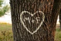Names of peopel who love each other in the shape of heart carved on the tree Royalty Free Stock Photo