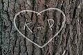 Names of peopel who love each other in the shape of heart carved on the tree Royalty Free Stock Photo