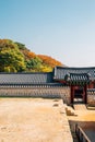 Namhansanseong Fortress, Korean old traditional house with autumn maple in Gwangju, Korea Royalty Free Stock Photo