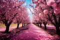 Nami island of south korea with pink leaves