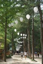 Nami Island Royalty Free Stock Photo