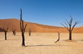 Namib desert Royalty Free Stock Photo