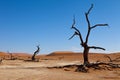 Namib desert Royalty Free Stock Photo