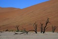 Namib Desert