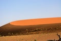 Namib Desert