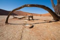 Namib desert Royalty Free Stock Photo