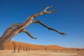 Namib desert Royalty Free Stock Photo