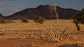 Namib desert, Africa