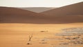 Namib desert Deadvlei `Dead Trees` in Sossusvlei located in the Namib-Naukluft National Park of Namibia. Royalty Free Stock Photo