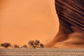 Namib Desert Dune Royalty Free Stock Photo