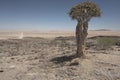 Namib Desert - Landscape