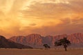 Namib desert landscape at sunset Royalty Free Stock Photo