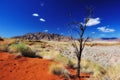 Namib Desert (Namibia)