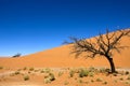 Namib Desert, Namib-Naukluft Park, Sossusvlei Dunes, Namibia Royalty Free Stock Photo