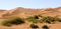 Namib Desert, Namib-Naukluft Park, Sossusvlei Dunes, Namibia Royalty Free Stock Photo