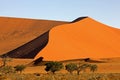 Namib Desert, Namib-Naukluft Park, Sossusvlei Dunes, Namibia Royalty Free Stock Photo