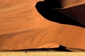 Namib Desert, Namib-Naukluft Park, Sossusvlei Dunes, Namibia Royalty Free Stock Photo