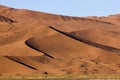 Namib Desert, Namib-Naukluft Park, Sossusvlei Dunes, Namibia Royalty Free Stock Photo